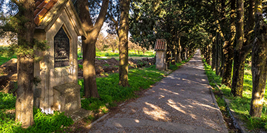 Rhodes City Tour & West Coast Image Gallery - Image 2