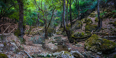 Rhodes City Tour & West Coast Image Gallery - Image 6